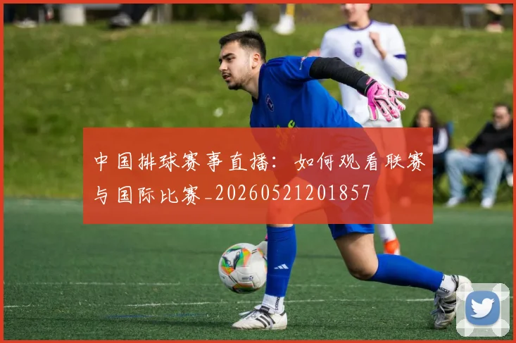 中国排球赛事直播：如何观看联赛与国际比赛_20260521201857